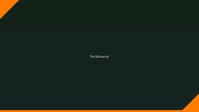 萌宠时刻主题赛 - 情欲世界 UGC视频竞赛